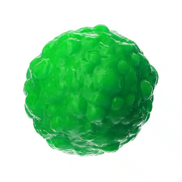 ROTAVIRUS-2